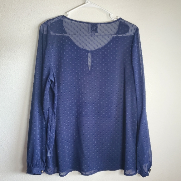 Kit and Sky Blue Sheer Light Long Sleeve Womans Summer Top Size Medium - Picture 4 of 8